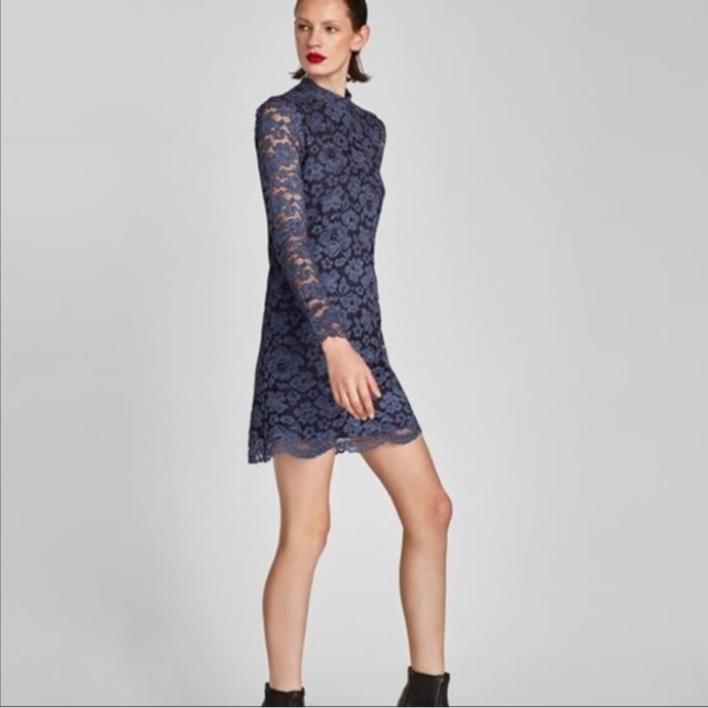 Zara lace dress
